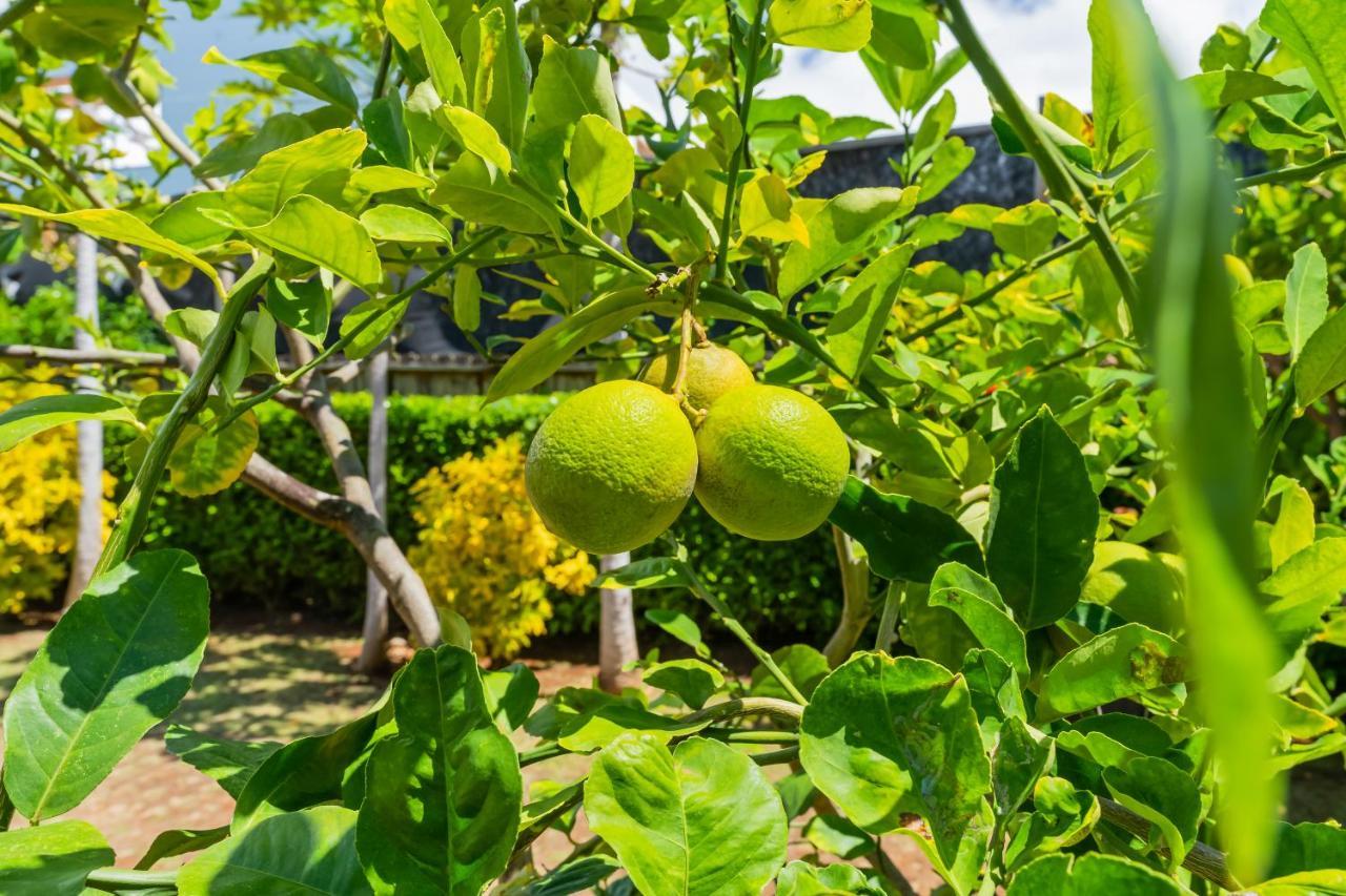 1730 Kaleka 4 Bed Poipu House, Guest House Walk To Beach Koloa Exterior foto